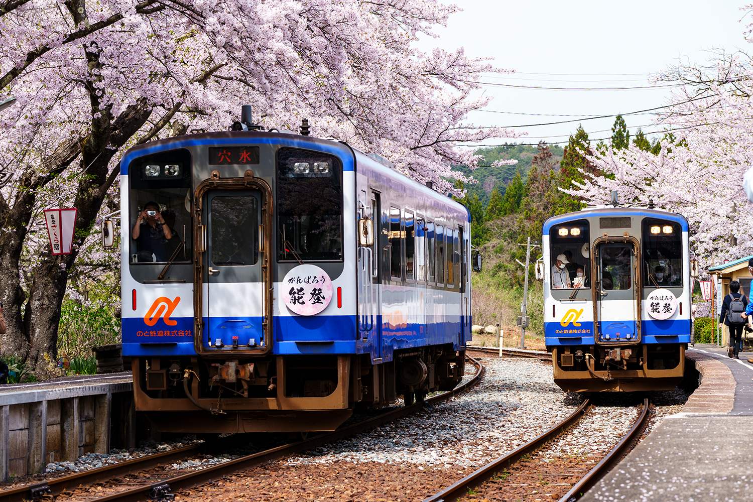 のと鉄道能登鹿島駅(能登さくら駅)。満開の桜が全線復旧を祝う | 北陸物語