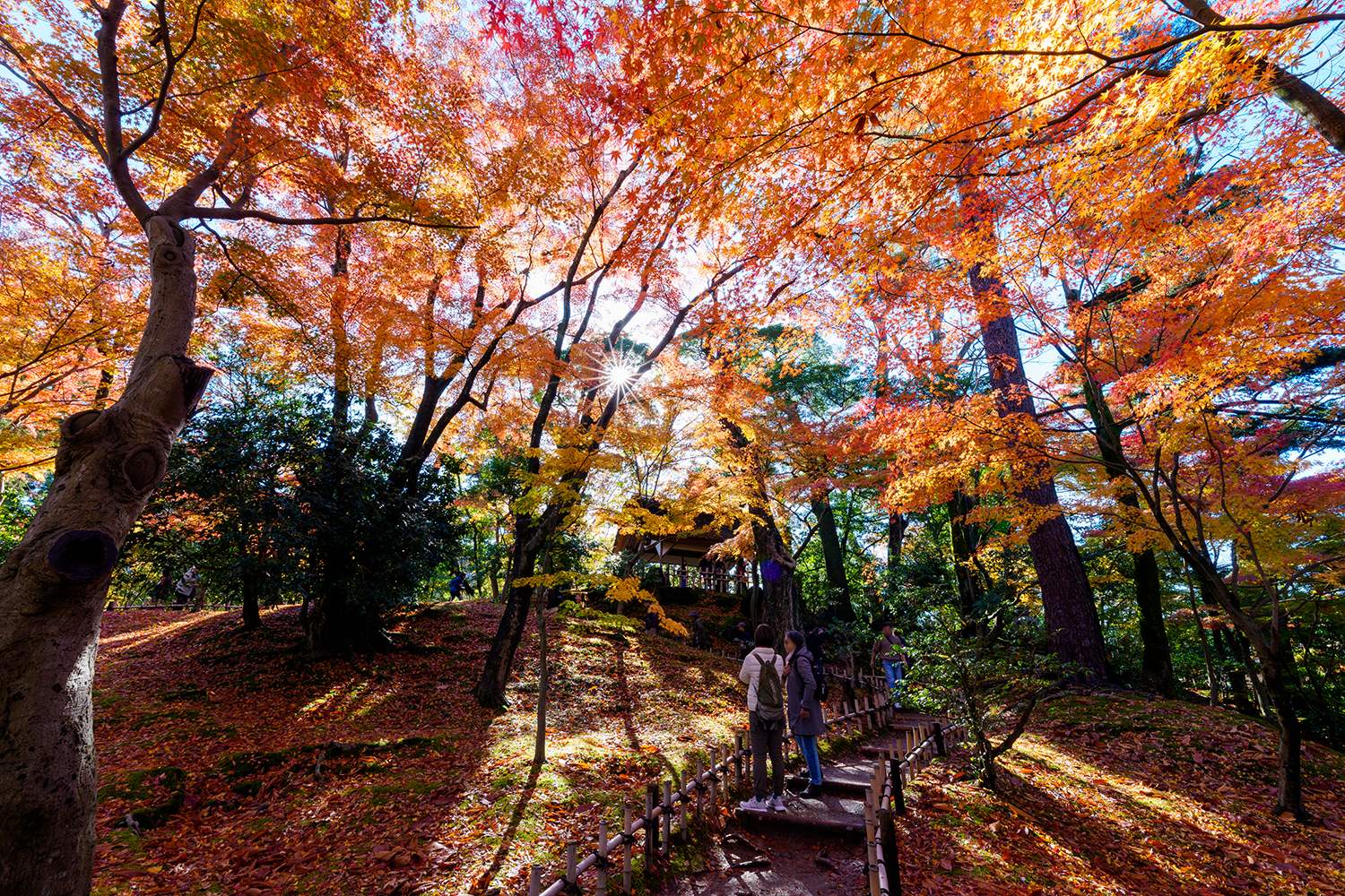 紅葉真っ盛りの兼六園へ | 北陸物語